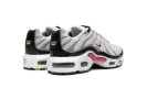 Air Max Plus GS