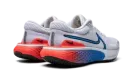 ZOOMX INVINCIBLE RUN FK 2 MNS WMNS "Grey" DV2177 001