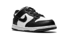 Dunk Low TD "Panda - Black / White" CW1589 100