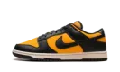 Dunk Low "Sundial" HF5441 700