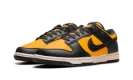 Dunk Low "Sundial" HF5441 700