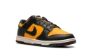 Dunk Low "Sundial" HF5441 700