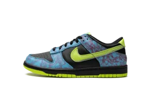 Dunk Low SE 2 DV1694 900