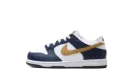 Dunk Low "Navy" FB9108 111