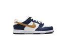 Dunk Low "Navy" FB9108 111