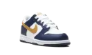 Dunk Low "Navy" FB9108 111