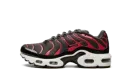 Air Max Plus GS