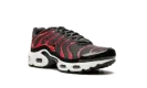 Air Max Plus GS
