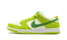 SB Dunk Low Pro "Green Apple" DM0807 300