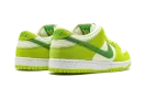 SB Dunk Low Pro "Green Apple" DM0807 300