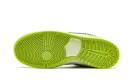 SB Dunk Low Pro "Green Apple" DM0807 300