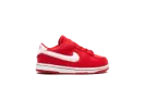 Dunk Low TD "Valentine's Day Solemates" FZ3551 612