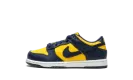 Dunk Low PS "Michigan" CW1588 700