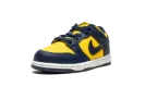 Dunk Low PS "Michigan" CW1588 700