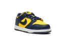 Dunk Low PS "Michigan" CW1588 700