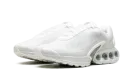 Air Max Dn "White Metallic" FJ3145 100