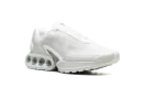 Air Max Dn "White Metallic" FJ3145 100