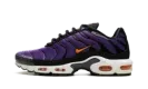 Air Max Plus "Voltage Purple" DX0755 500