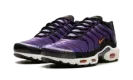 Air Max Plus "Voltage Purple" DX0755 500