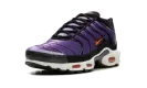 Air Max Plus "Voltage Purple" DX0755 500
