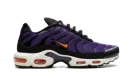 Air Max Plus "Voltage Purple" DX0755 500
