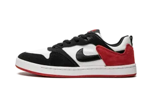 SB Alleyoop CJ0882 102