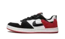 SB Alleyoop CJ0882 102