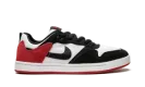 SB Alleyoop CJ0882 102