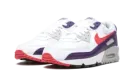 Air Max 90 WMNS "Eggplant" CW1360 100
