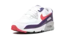 Air Max 90 WMNS "Eggplant" CW1360 100