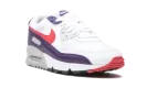 Air Max 90 WMNS "Eggplant" CW1360 100