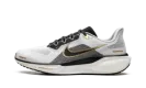 Air Zoom Pegasus 41 "White Metallic Gold" HQ3220 100