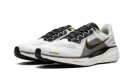 Air Zoom Pegasus 41 "White Metallic Gold" HQ3220 100