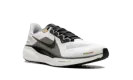 Air Zoom Pegasus 41 "White Metallic Gold" HQ3220 100