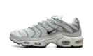 Air Max Plus WMNS "Light Silver" FV8480 002