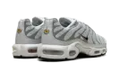 Air Max Plus WMNS "Light Silver" FV8480 002