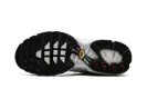 Air Max Plus WMNS "Light Silver" FV8480 002