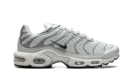 Air Max Plus WMNS "Light Silver" FV8480 002