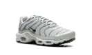 Air Max Plus WMNS "Light Silver" FV8480 002