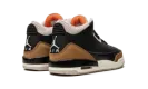 Air Jordan 3 GS "Desert Elephant" DM0967 008