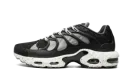 Air Max Plus Terrascape "Off Noir" DN4590 001