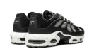 Air Max Plus Terrascape "Off Noir" DN4590 001