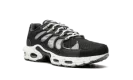 Air Max Plus Terrascape "Off Noir" DN4590 001