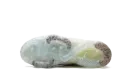 Air Vapormax 2021 FK GS DQ7758 100