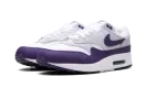 Air Max 1 SC "Field Purple" DZ4549 101