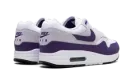 Air Max 1 SC "Field Purple" DZ4549 101
