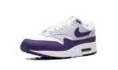 Air Max 1 SC "Field Purple" DZ4549 101