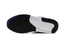 Air Max 1 SC "Field Purple" DZ4549 101
