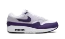 Air Max 1 SC "Field Purple" DZ4549 101