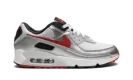 Air Max 90 "Icons - Silver Bullet" DX4233 001